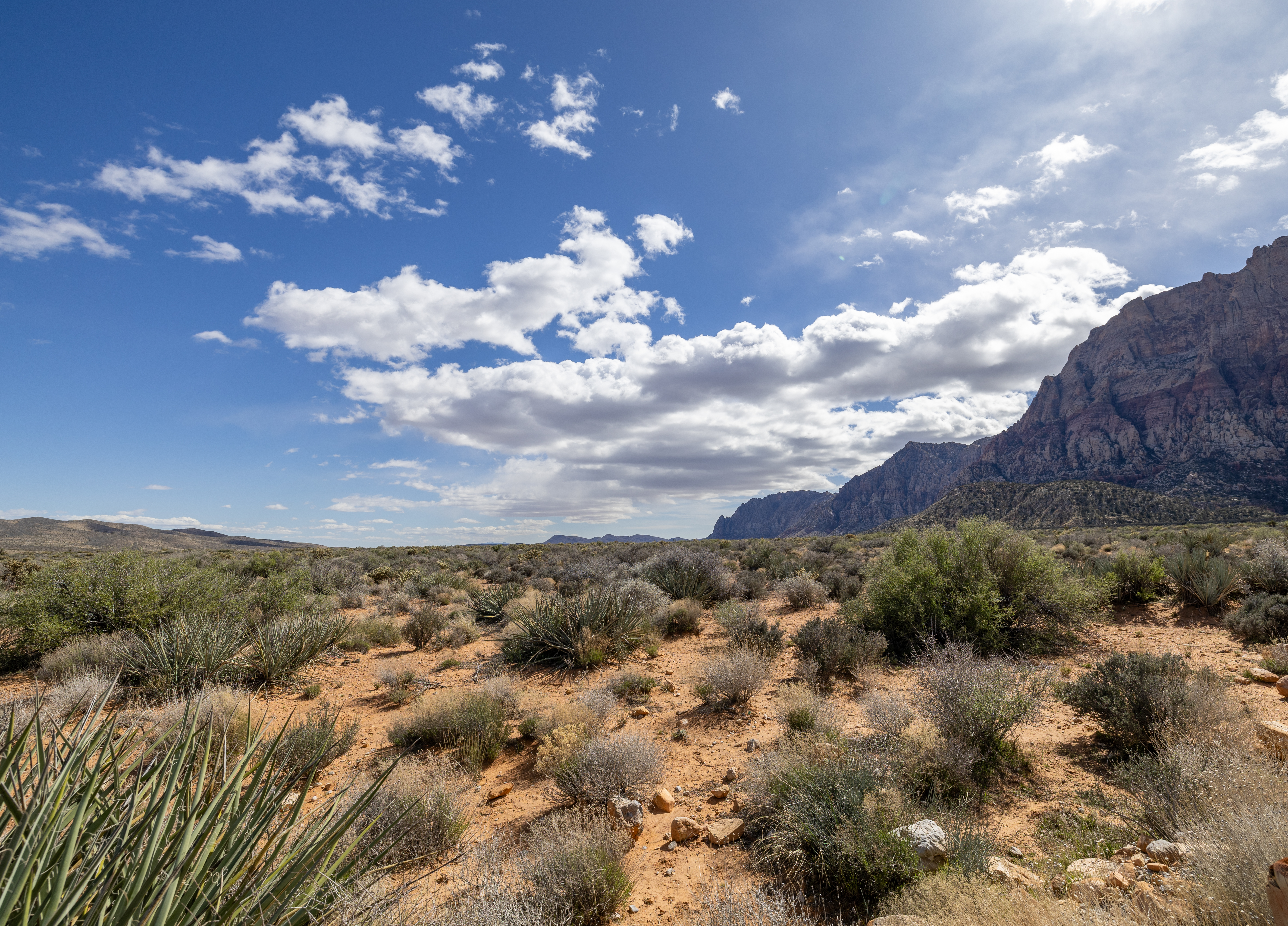 Red Rock Canyon 3