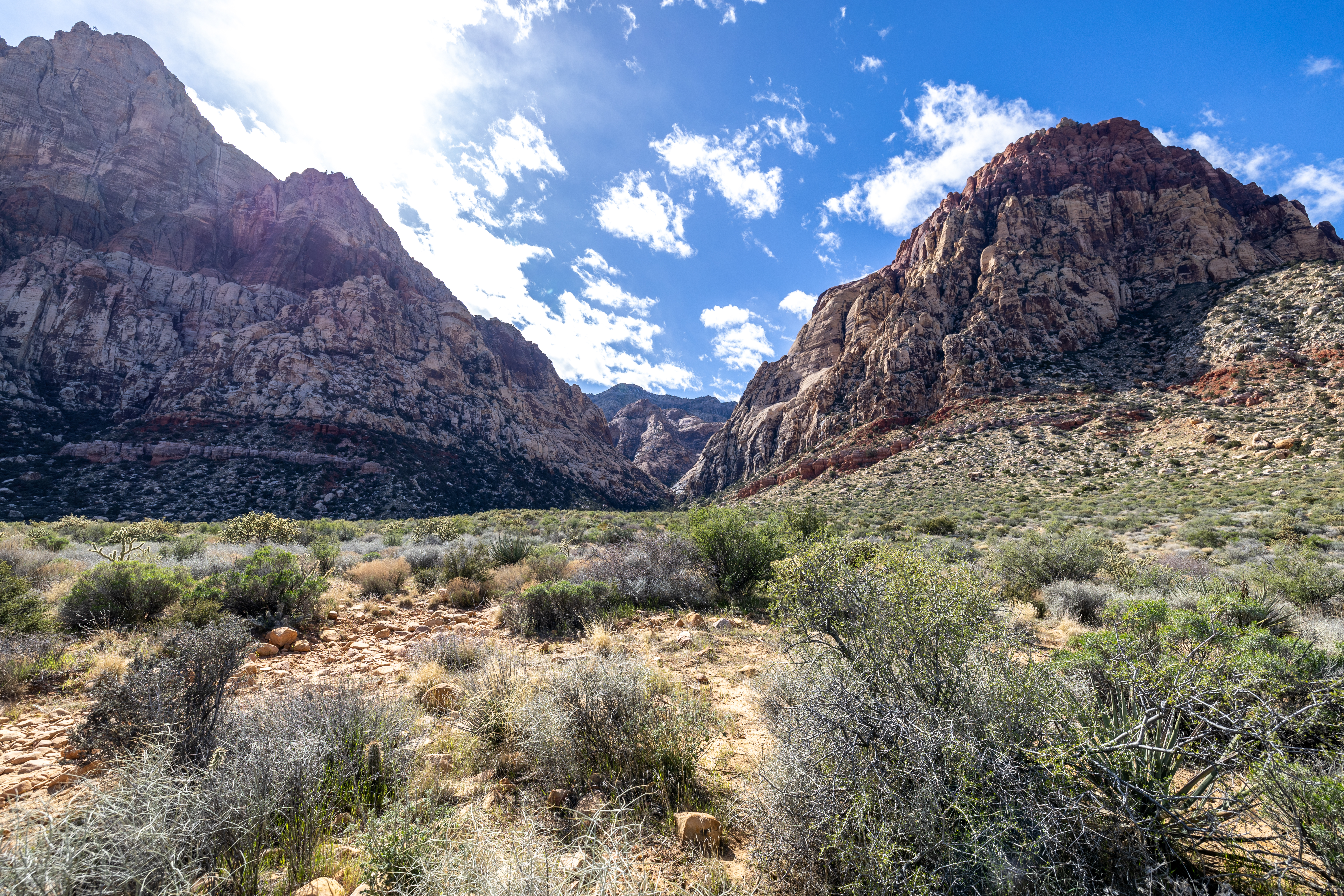 Red Rock Canyon 6